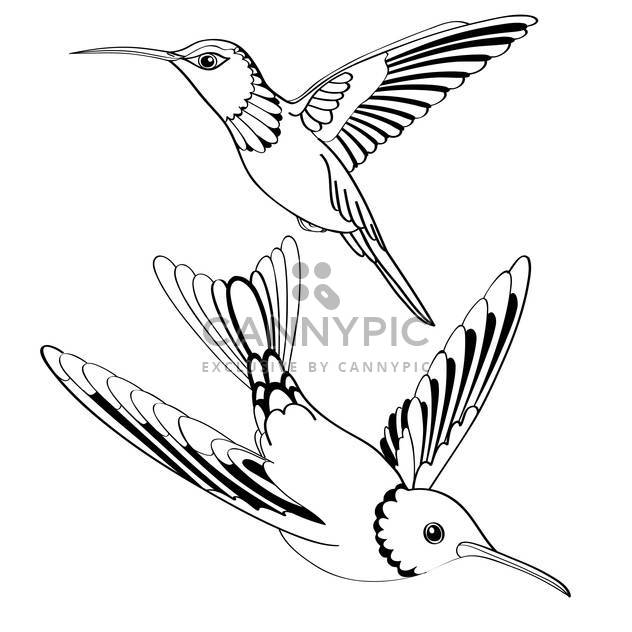 Vector illustration of black birds on white background - Free vector #127241