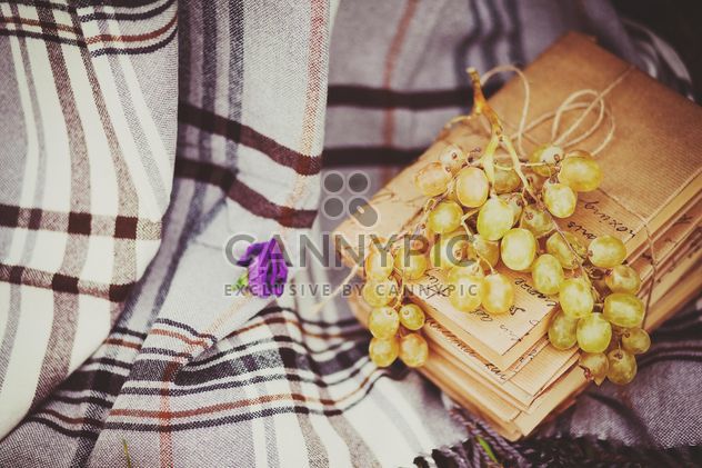 Grapes and books on checkered plaid - image gratuit #136201 