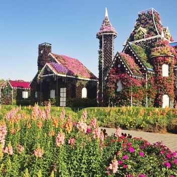 Flower Park in Dubai, United Arab Emirates - image #136691 gratis