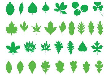 Leaves Silhouettes Pack - vector gratuit #145981 