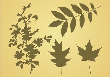 Leaves Vector Graphics - Free vector #146411