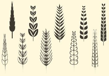 Sketchy and Solid Cereal and Wheat Vectors - vector gratuit #147011 