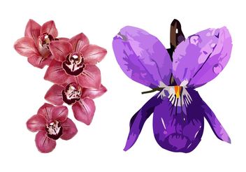 Spring Flowers Graphics Design - vector gratuit #152711 