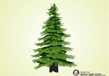Evergreen Tree Vector - vector gratuit #152871 