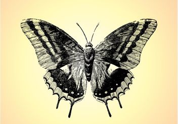 Retro Butterfly Drawing - Free vector #156741