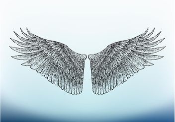 Bird Wings Image - бесплатный vector #156841