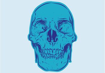 Blue Skull - Kostenloses vector #156881