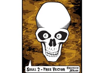 Free Skull Vector - Skull 2 - Kostenloses vector #158671