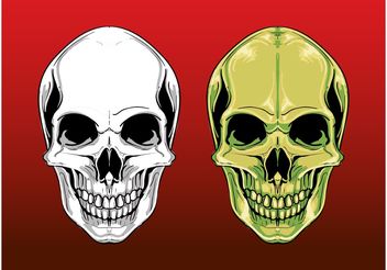 Scary Skull Graphics - Free vector #158681