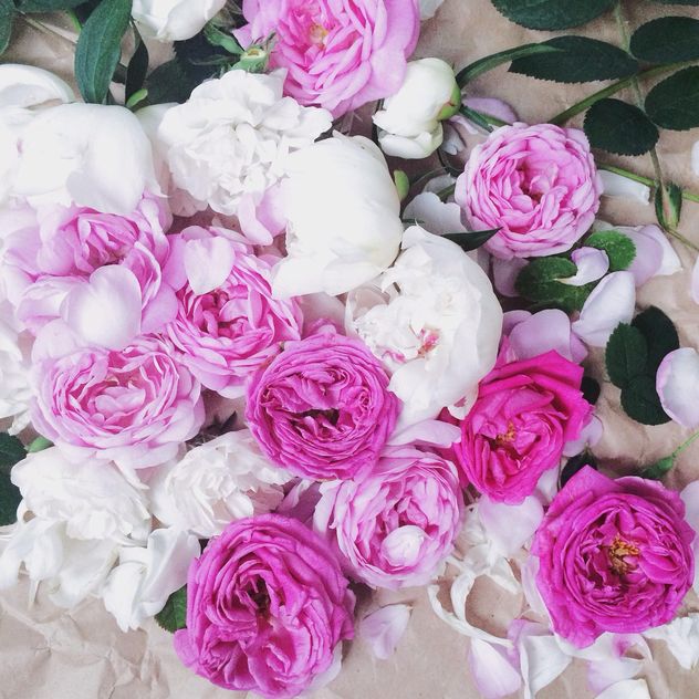 Pink and white peony flowers - бесплатный image #183191