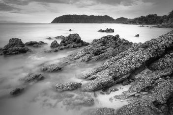 Landscape with stones in ocean, black and white - image #183921 gratis