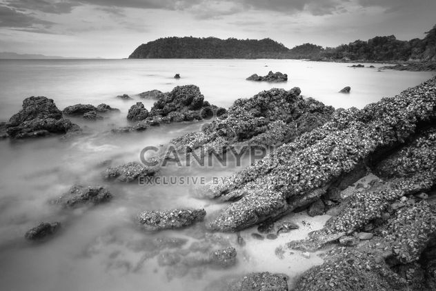 Landscape with stones in ocean, black and white - Free image #183921