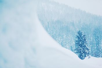 Winter landscape with trees in snow - бесплатный image #184001