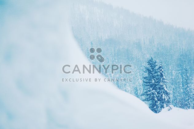 Winter landscape with trees in snow - бесплатный image #184001