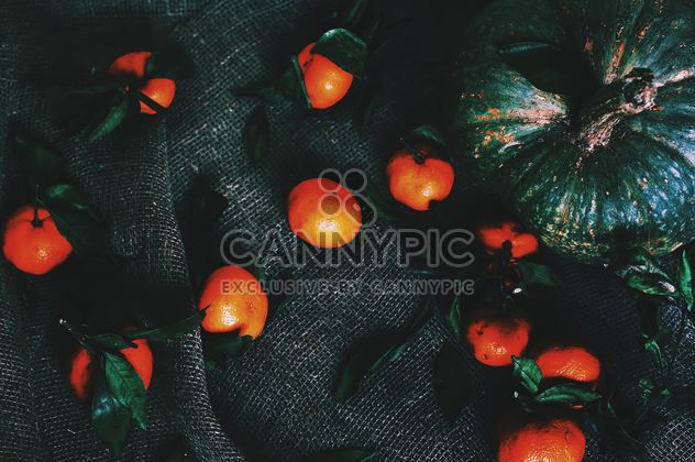Pumpkin and tangerines - Free image #184081