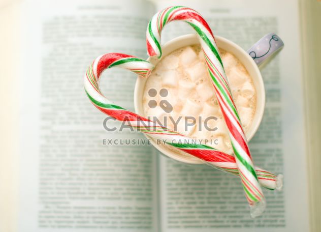 A cup of cocoa with marshmallows - Free image #185821