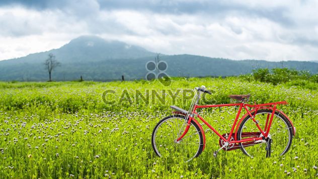 Red bicycle on a green meadow - image #186931 gratis