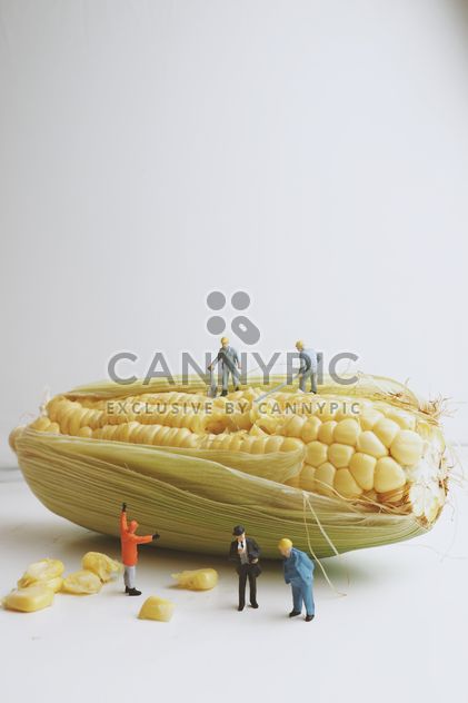 Miniature people working with corn - Free image #187131