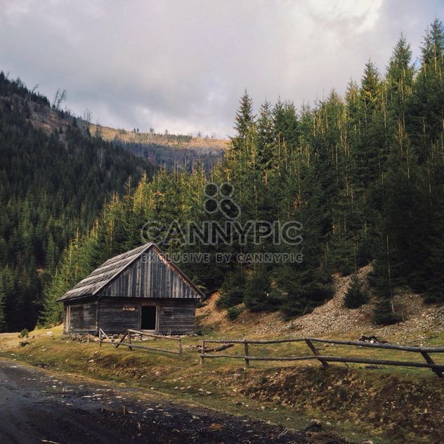 Woden house in forest - бесплатный image #200341