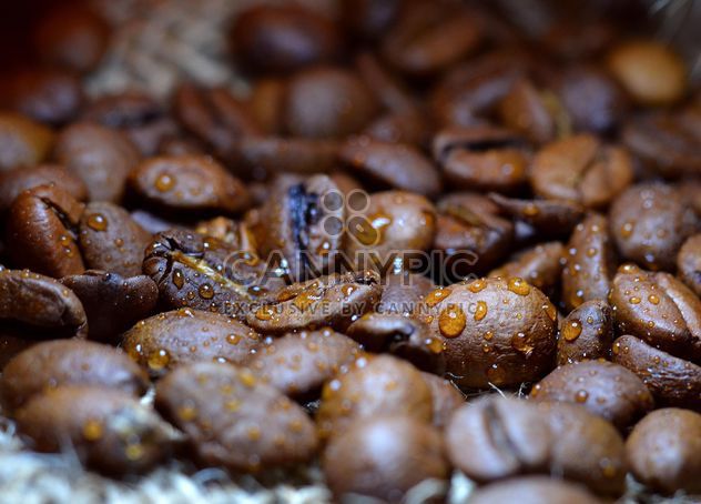 Coffee beans - Free image #201081