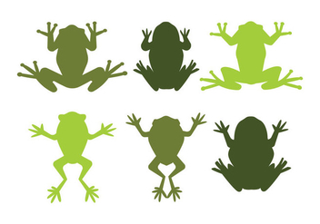 Green Tree Frog Vectors - vector gratuit #201241 