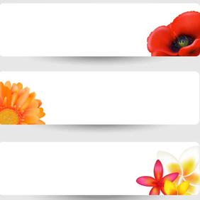 White Floral Banners - vector #203541 gratis