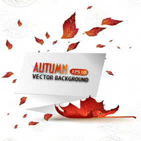 Vector Autumn Backround With Paper Speech Bubble - Free vector #204471