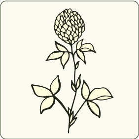 Floral 100 - Free vector #206081