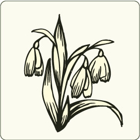Floral 83 - Free vector #206531