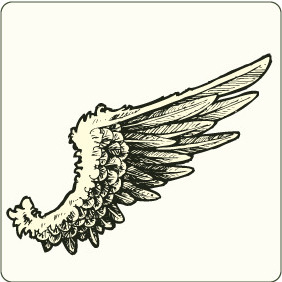 Wing 9 - Free vector #207481