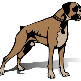 Boxer Dog Vector Image - Kostenloses vector #208231