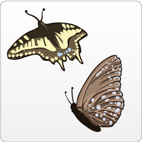 Butterflies 2 - vector gratuit #208491 