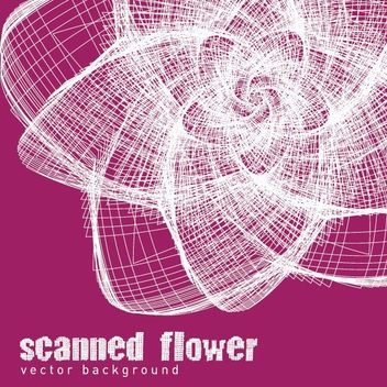 Scanned Flower - Kostenloses vector #209241