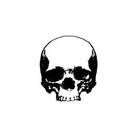 Skull Vector - Free vector #213921