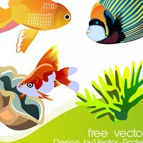 Free Vector Fish - Kostenloses vector #215291