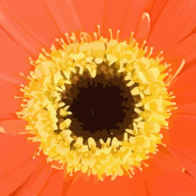 Orange Flower - Kostenloses vector #223521