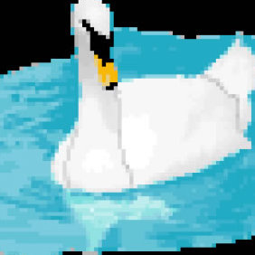 Mute Swan - Free vector #223721