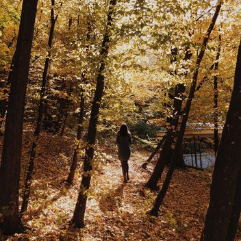 Girl in between autumn trees, #autumncity - image #271721 gratis