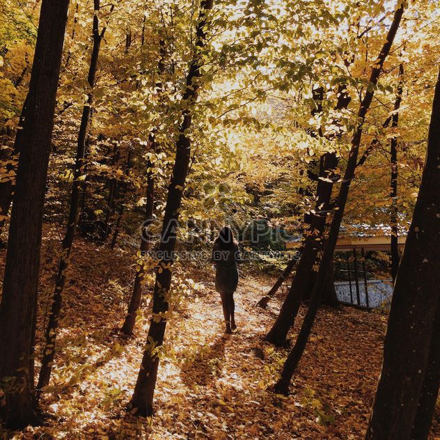 Girl in between autumn trees, #autumncity - image gratuit #271721 