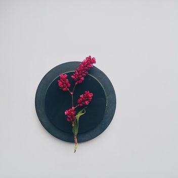 Sprig of flowers on black round stand - Free image #272171