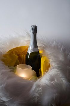 Bottle of Champagne and candle in fur - бесплатный image #272531
