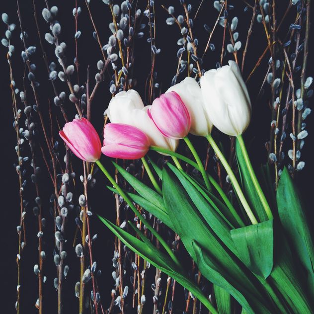 Bouquet of tulips - image #272941 gratis