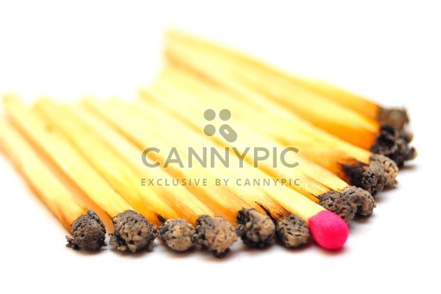 Burned matches and one survived - Free image #273191