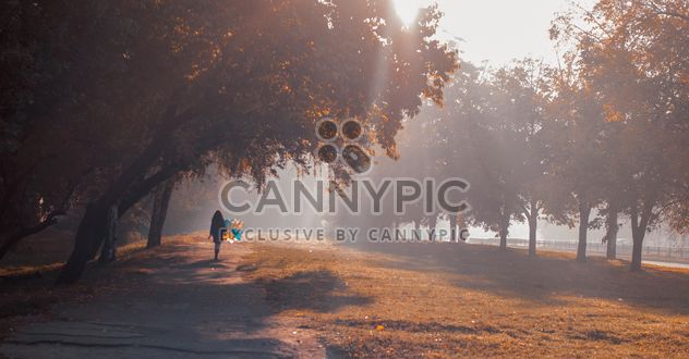 Girl with balloons in autumn park - Free image #273791