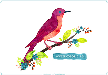 Free Vector Watercolor Bird - vector gratuit #274051 