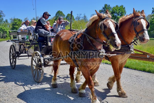 carriage drawn by two horses - image gratuit #275041 