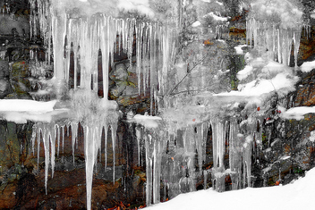 Winter Wonderland - бесплатный image #277841