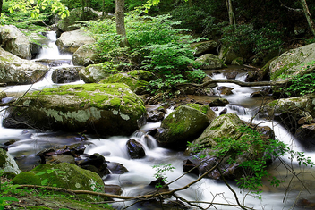 Keeny's Creek Waterfalls - image #278501 gratis