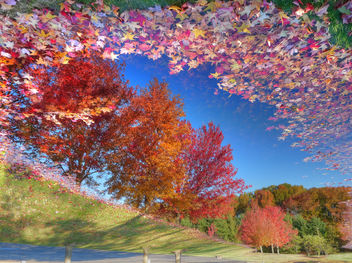 Reflecting on the change of seasons - NJ - image #279091 gratis