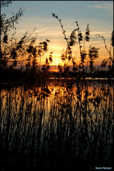 Sunset at the Rietplas - Free image #284101